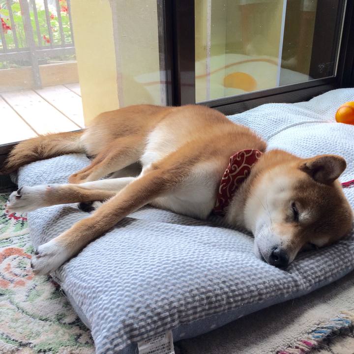 B907add5 a0dd 41c8 a5c2 ba093e102ddc