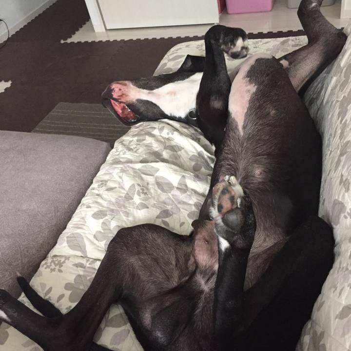 B907bc28 04de 450d 95ad c01d51a9c987