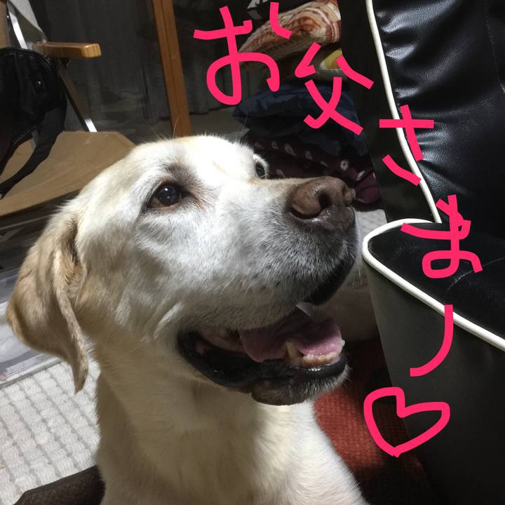 B907d4df 5cca 4f8e bc3a b35053d696c1