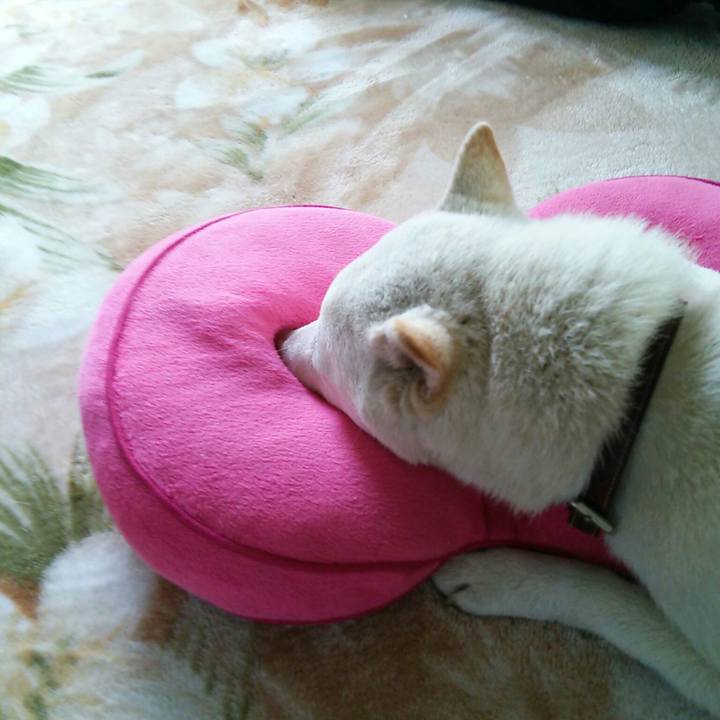 B9084b49 cce5 417a bf9c 071648048b61