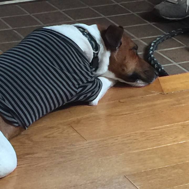 B908dd79 63e8 4824 9053 39c04f1f366a