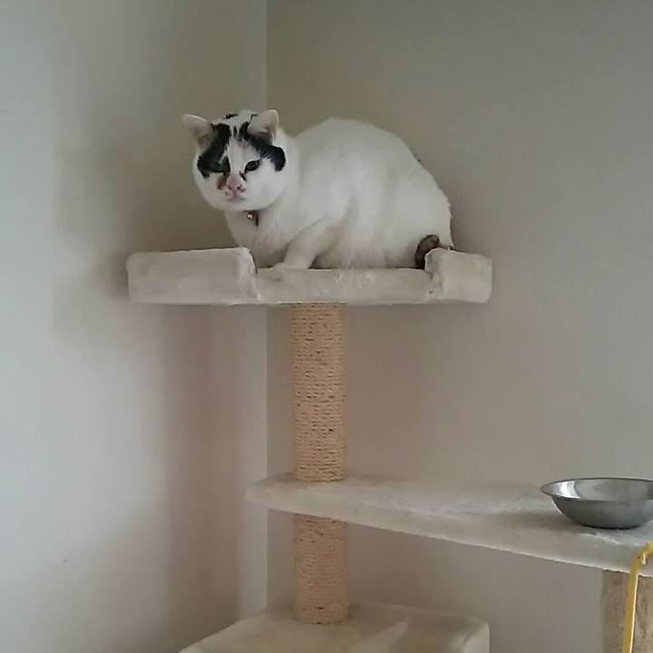 B908df21 99f6 479e 8d74 ad54717aebf3