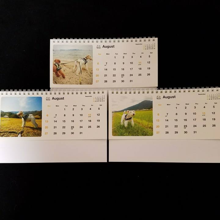 B9090b91 127c 4536 8c98 5b34c00e3ff9