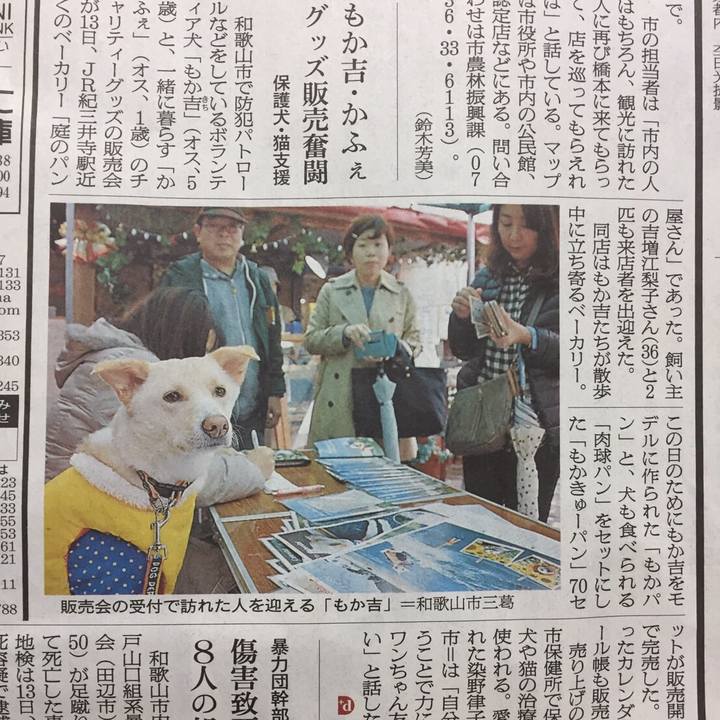 B9094da1 32a1 4ed4 b402 d8f33c25ba77