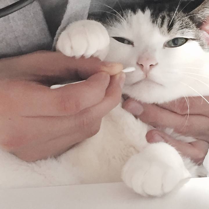 B909f846 ffea 4228 a6e7 398f19b53a49