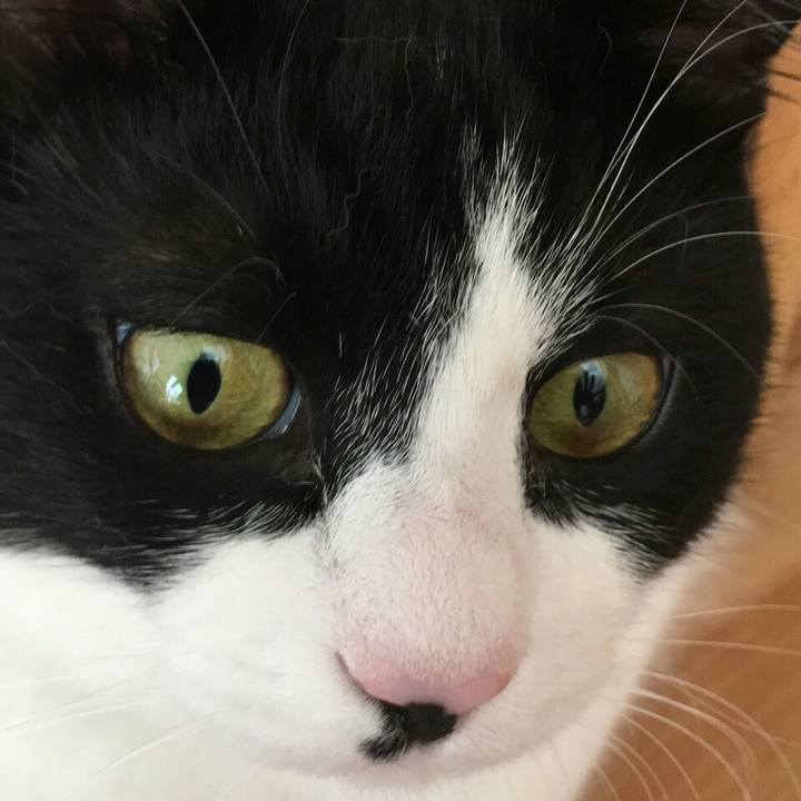 B90a6212 53c4 471f b483 81bcbbbfcb1b