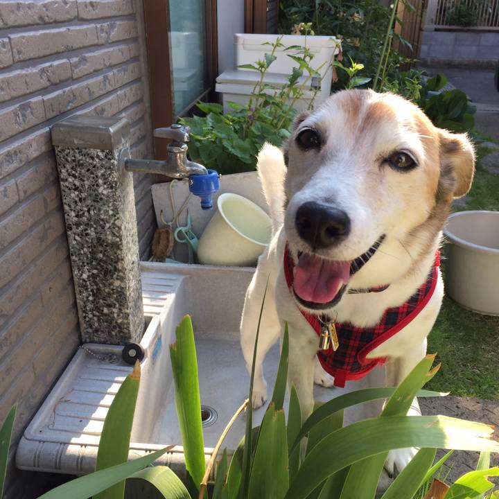 B90a8e23 0912 43ae 8787 a83c69341540