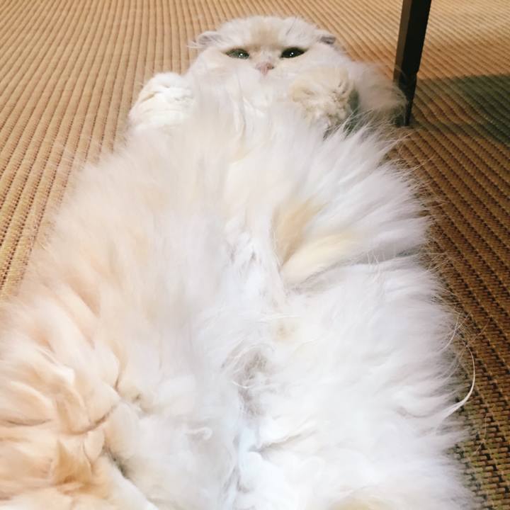 B90ab9bd e2dd 45b8 b892 bb9d684ed5e8