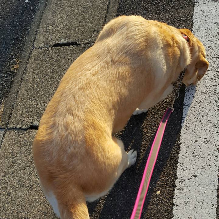 B90aed88 6944 4d56 9e6c 8dd54e6daf00