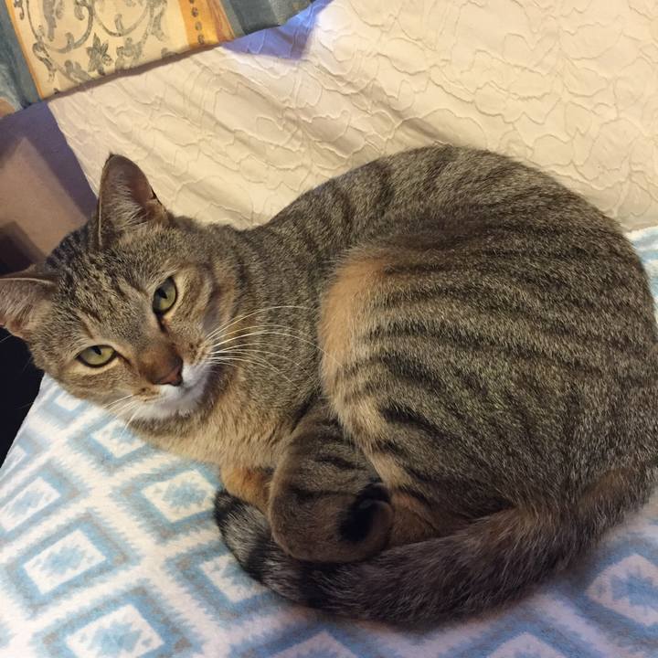 B90beda0 6167 4422 a6d5 00aeba85e11f