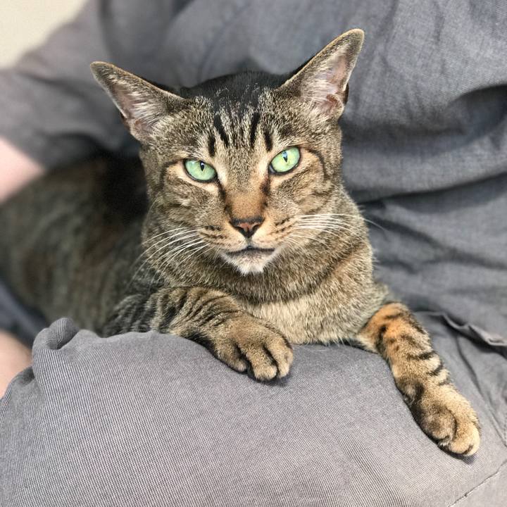 B90c1b1f d3f5 4ad8 a9a1 ecb7995af332