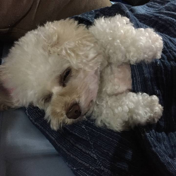 B90c5ad6 ea9a 4c2e a810 69c3c6b4d8d0