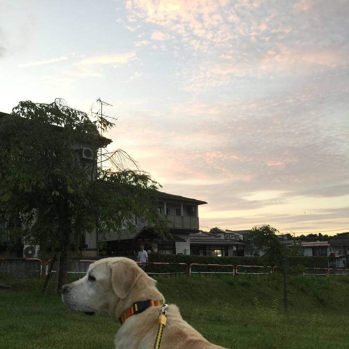 B90c65b7 8921 4739 af42 cf3bb725b908