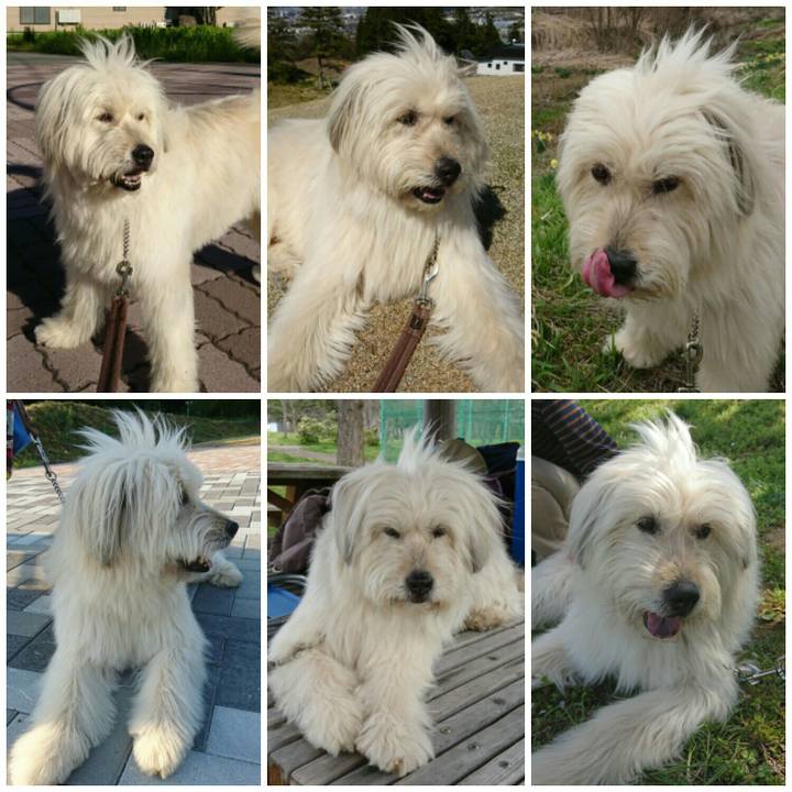 B90d96ca 3d8a 48f1 91de 1f166fcc2adb