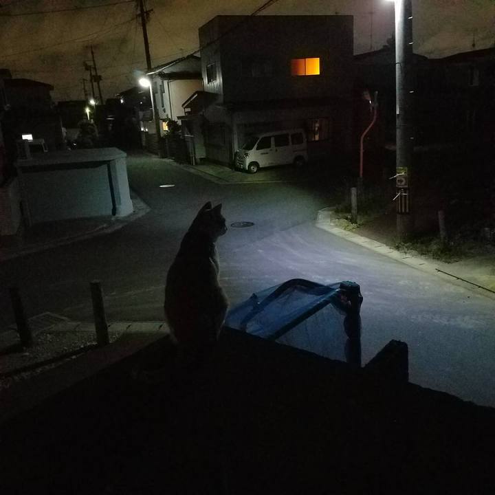 B90e3794 f986 4de2 a0af bdebc45b0135