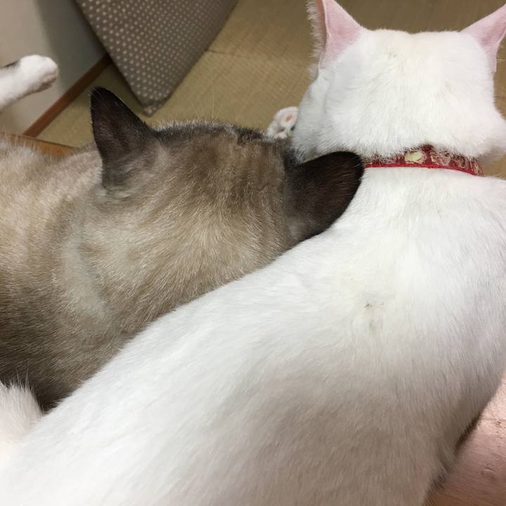 B90ecf59 e8dc 4e59 8a77 d3ded8f24fad