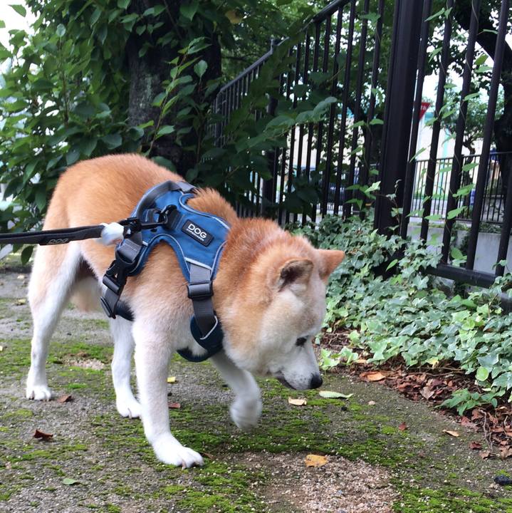 B90f00d7 2d98 45f6 97cb e8ab5a30962a