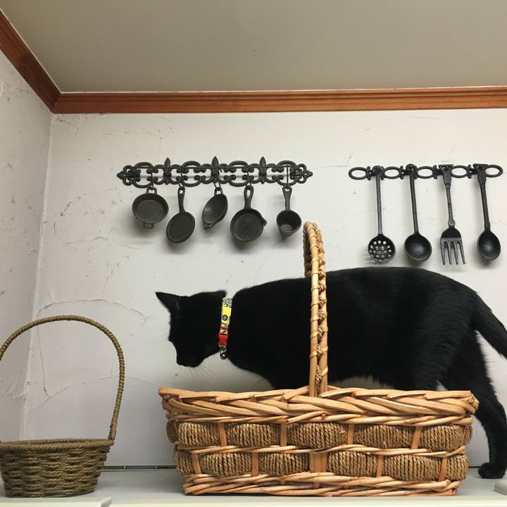 B90fb1e2 6d36 48b6 b72d d8c5ed0b21ff