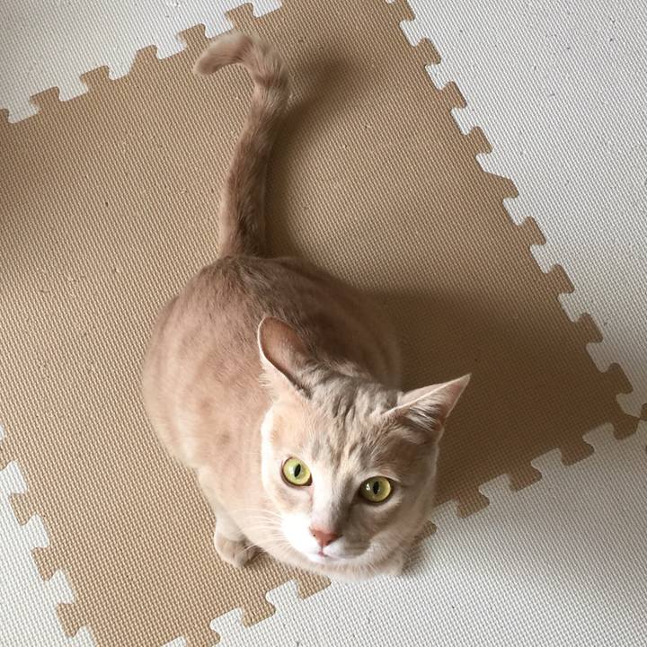 B90fdf63 aac6 4c5f 8a08 66a6ee3349cb