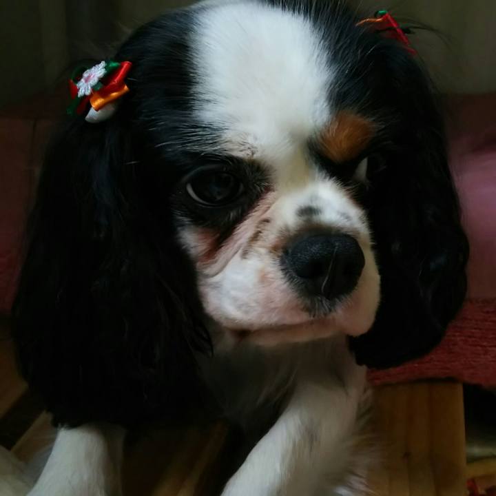 B90fefae 2298 4011 8505 28b439562b62