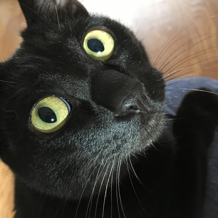 B9100b66 854b 4554 8431 890aa574759d