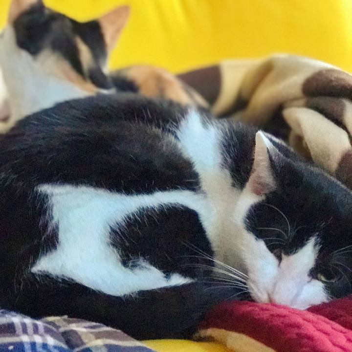 B910fe45 4e2b 4001 b60e 9d350b7aa1a6