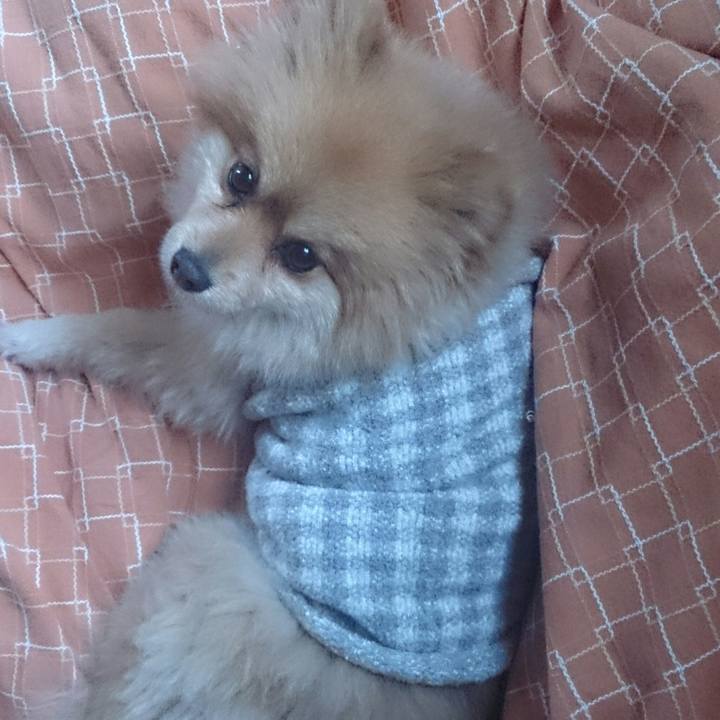 B9113772 0642 4615 80b7 5a96b8ce0ba7