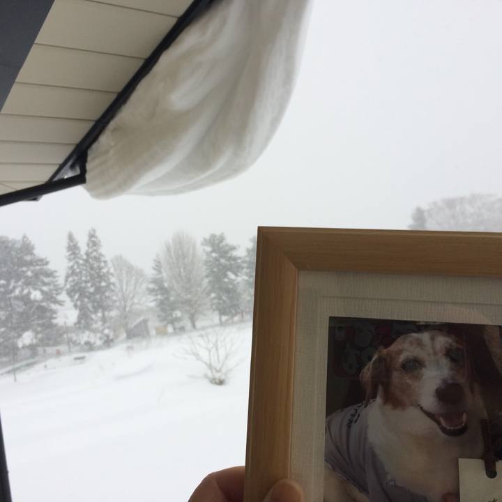 B911e313 342a 4dd4 9ae0 d59679df4555