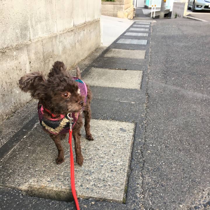 B912319e dd36 4787 a6f1 fffd54295bd4