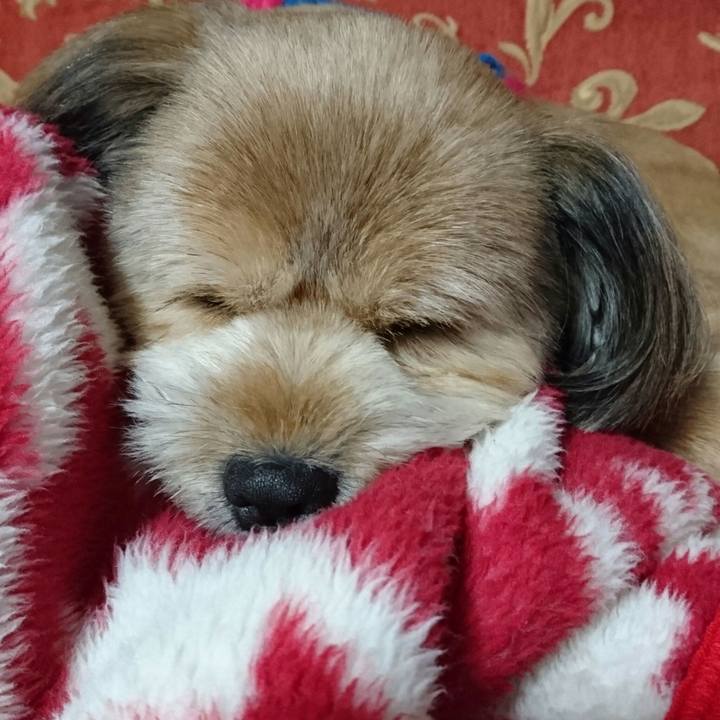 B9129a32 b461 4a90 a29f 7cb88ecfc770