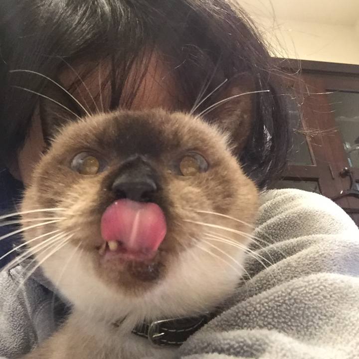 B912bc1e 5327 4790 9239 a218d976a755