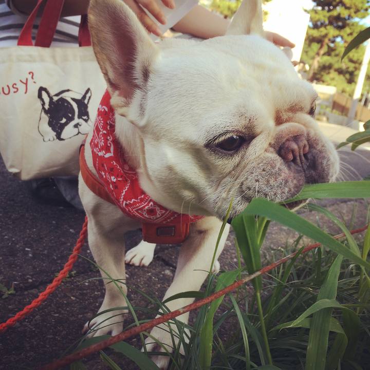 B913af55 7011 43b1 991c a6573ed63724