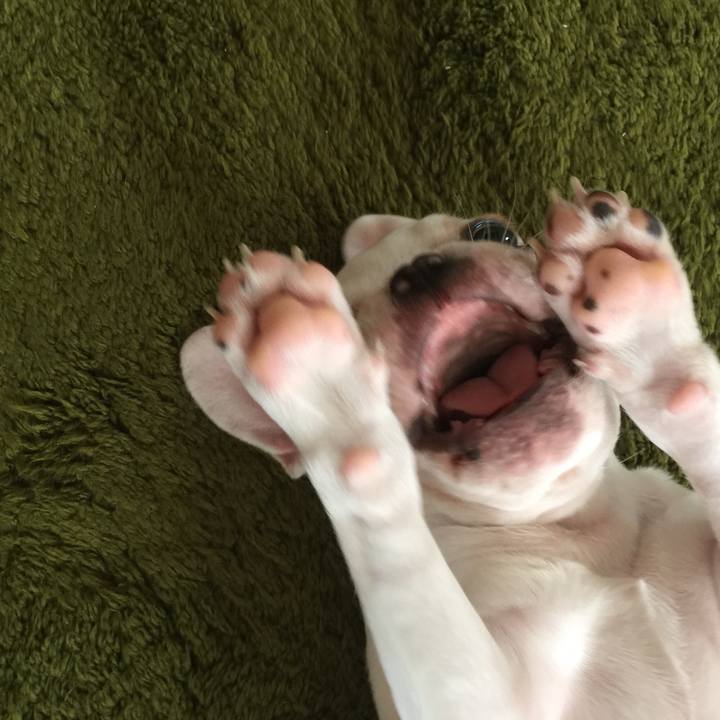 B913c4c1 131a 4c9a a864 3619c75f5e4b