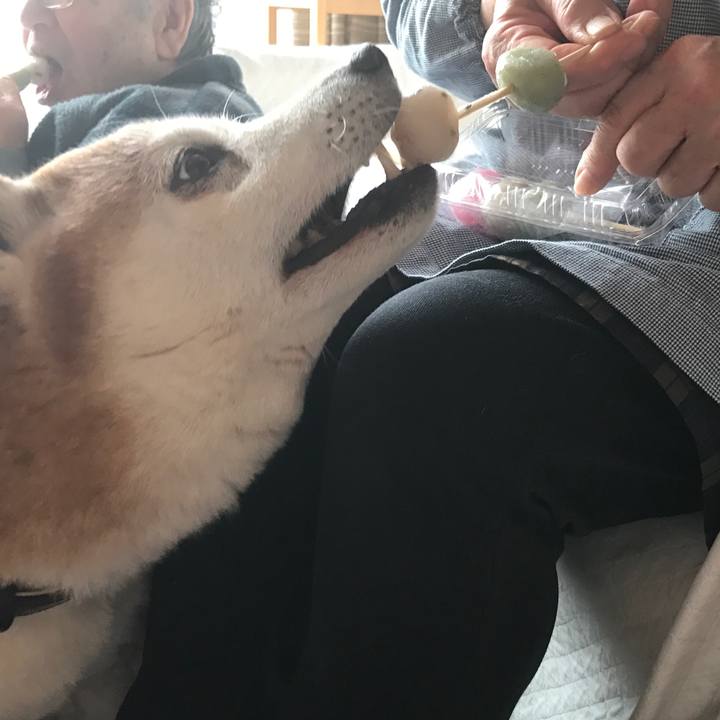 B913d414 5b01 4f46 ae28 31538023014e