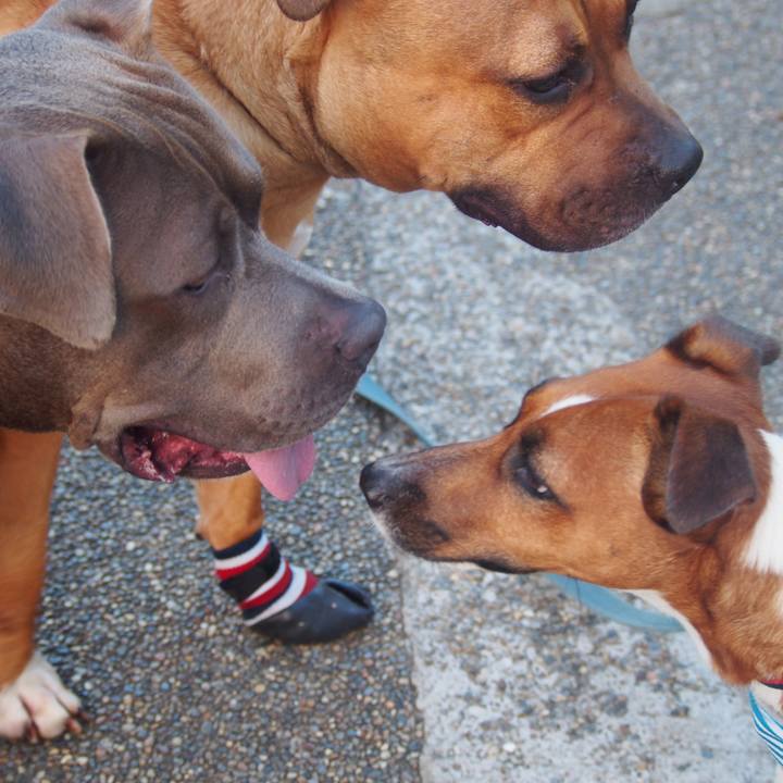 B9148244 b91c 4d5b 9595 9890e392bd1e