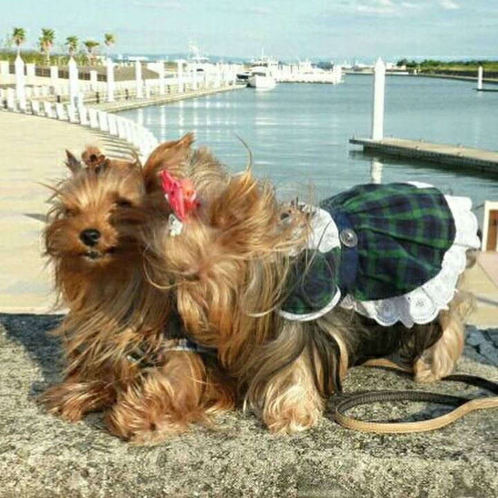 B915c936 2274 403a b5e3 ade230e53712