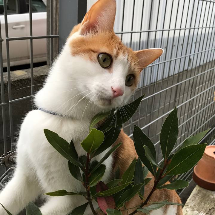 B9164fc9 5f49 4849 94eb 07244d57e456