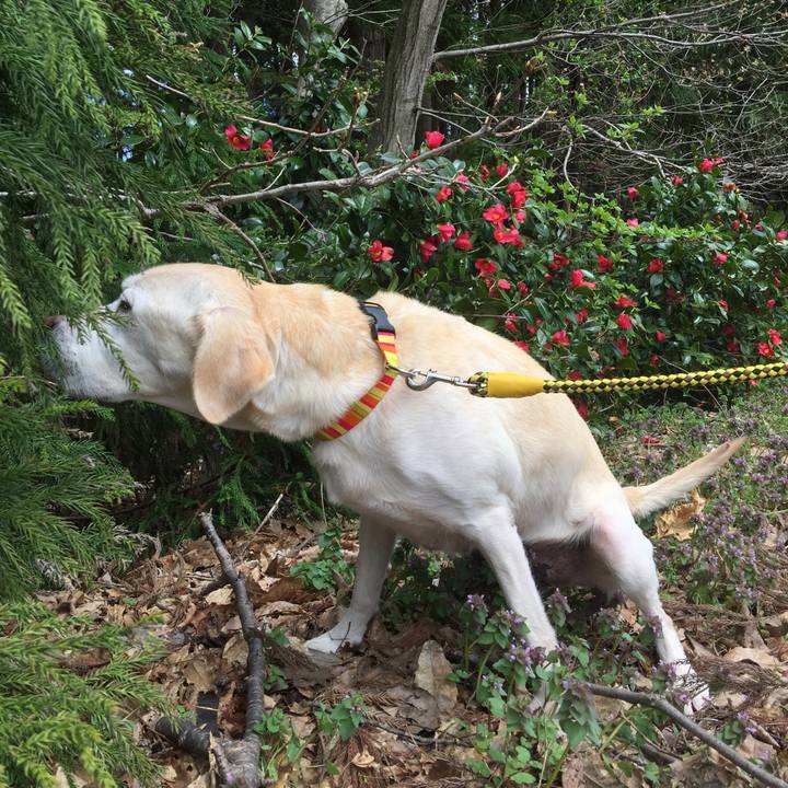 B916c8f7 7365 4843 a340 9c2532d6f29c