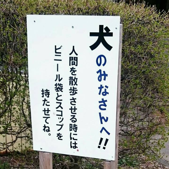 B9178980 2286 48b8 99ea e5e1efe824ec