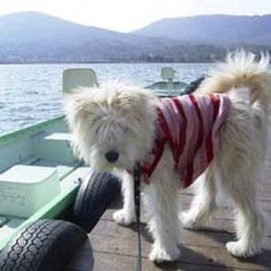 B9178cb3 a4bd 4d44 9a21 4cbd2fc5bb66