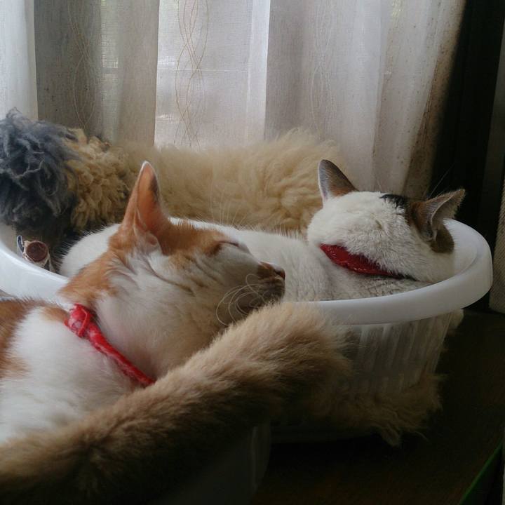 B9178d8a b13b 4883 8c0e 07708943b882