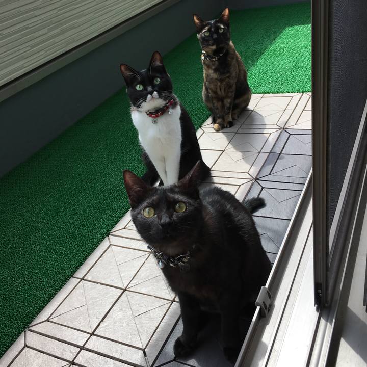 B917c904 2050 4597 8819 8337d32ad2e1