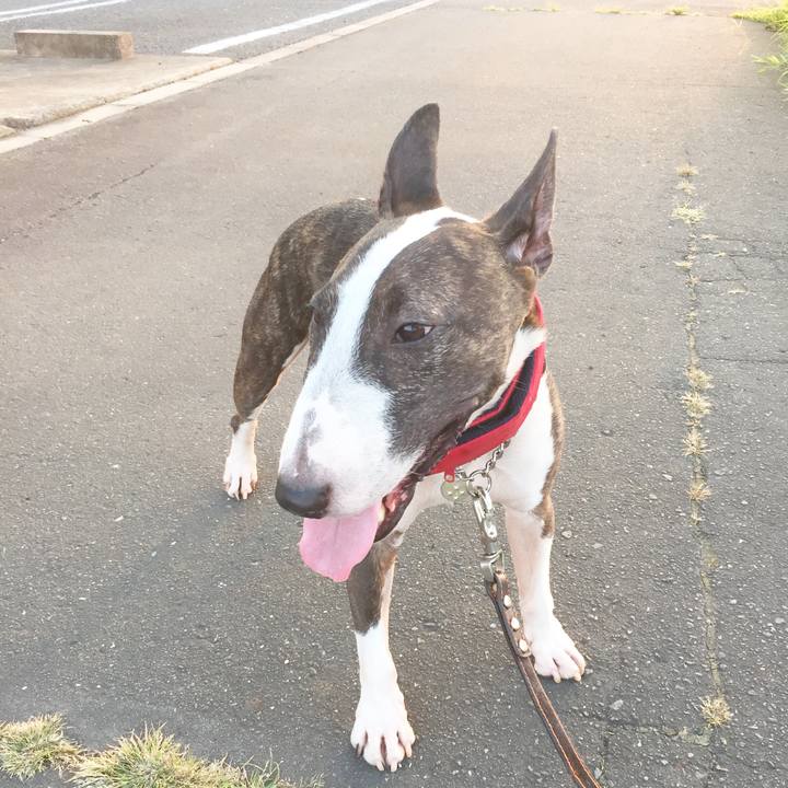 B9184558 eee6 4c1b 8c83 4c72e972c929