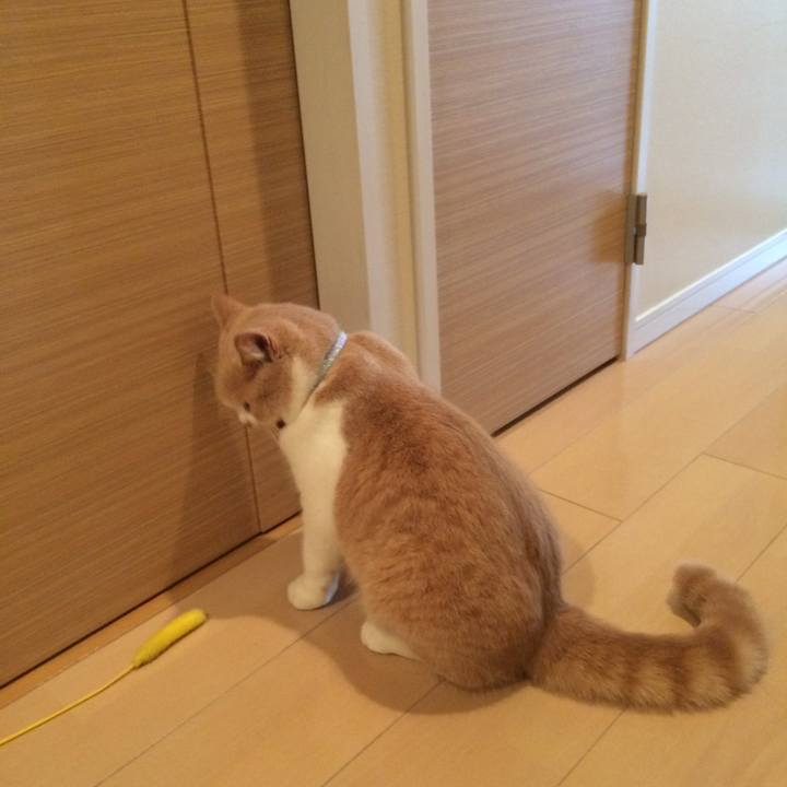 B9184b63 56ff 44a3 8937 5cb3627bf999