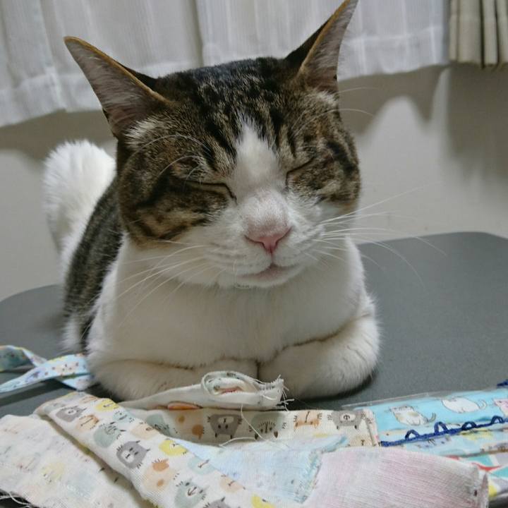 B918778d c374 4f9a 9dbb 3a38a3aa7826