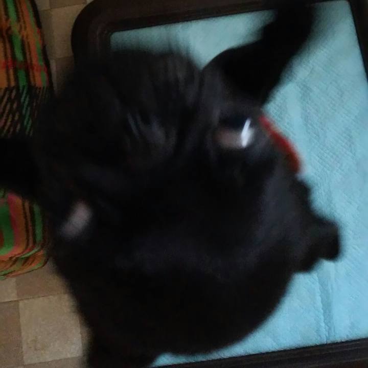 B9188bec fe5c 4792 a1ee 997089a72463