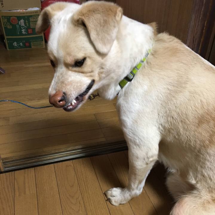 B918b807 2280 444f b81e 37b2a5d1a58a