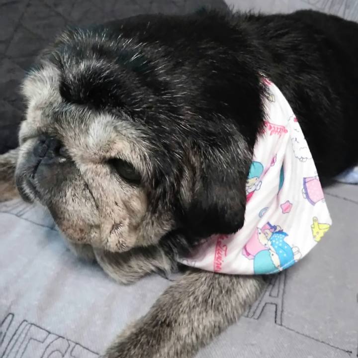 B9193924 3567 4083 b81f 52bb613eac3c