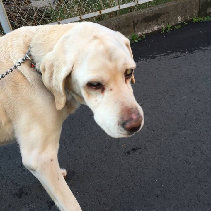 B9194397 f5eb 4c35 a102 8488b3331cee