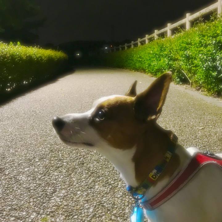 B9197ceb d15a 4e3d 8fa0 cff1de6b5a74